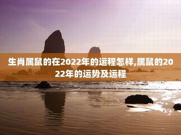 生肖属鼠的在2022年的运程怎样,属鼠的2022年的运势及运程