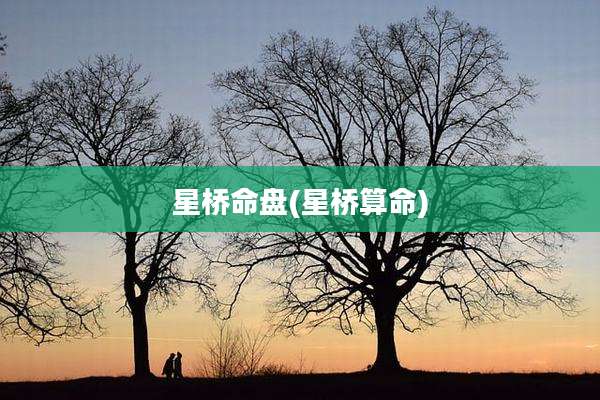 星桥命盘(星桥算命)
