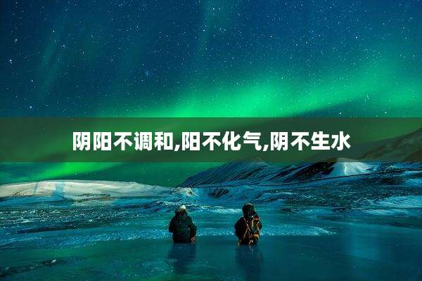 阴阳不调和,阳不化气,阴不生水