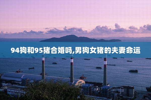 94狗和95猪合婚吗,男狗女猪的夫妻命运