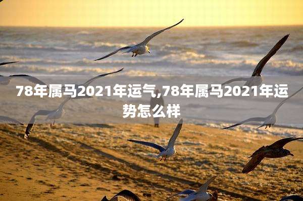 78年属马2021年运气,78年属马2021年运势怎么样