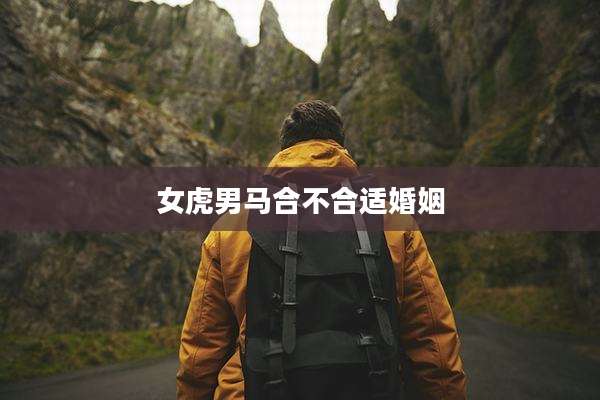 女虎男马合不合适婚姻