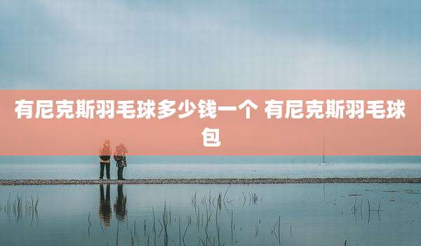 有尼克斯羽毛球多少钱一个 有尼克斯羽毛球包