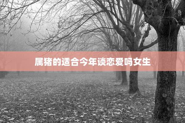属猪的适合今年谈恋爱吗女生