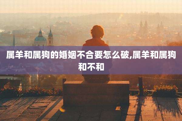 属羊和属狗的婚姻不合要怎么破,属羊和属狗和不和