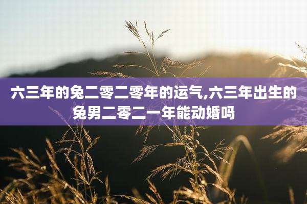 六三年的兔二零二零年的运气,六三年出生的兔男二零二一年能动婚吗