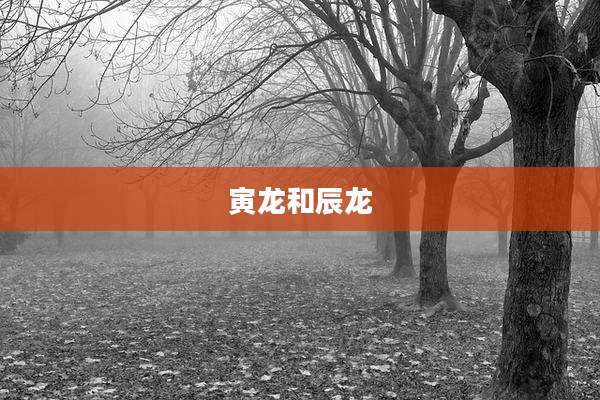 寅龙和辰龙