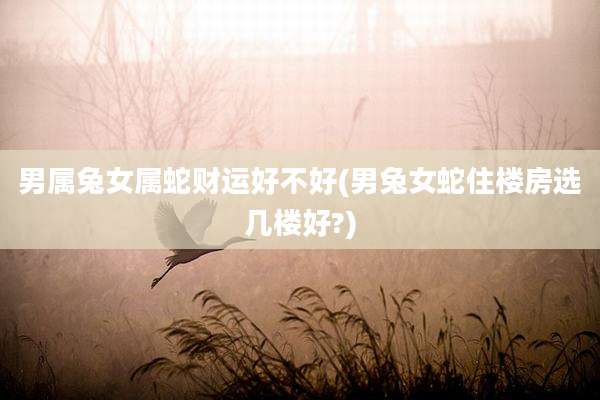 男属兔女属蛇财运好不好(男兔女蛇住楼房选几楼好?)