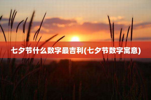 七夕节什么数字最吉利(七夕节数字寓意)