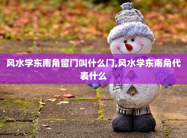 风水学东南角留门叫什么门,风水学东南角代表什么