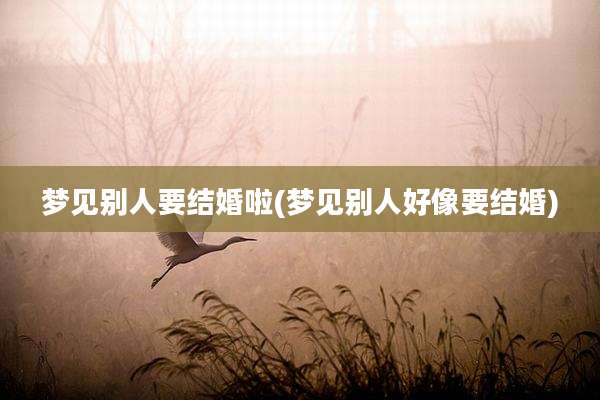 梦见别人要结婚啦(梦见别人好像要结婚)