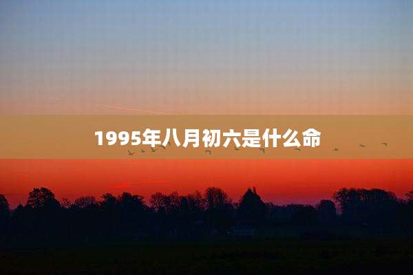 1995年八月初六是什么命