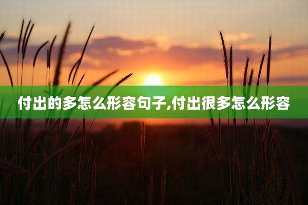 付出的多怎么形容句子,付出很多怎么形容