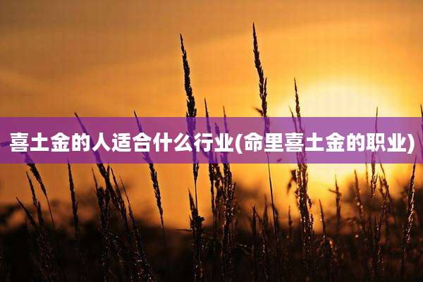 喜土金的人适合什么行业(命里喜土金的职业)