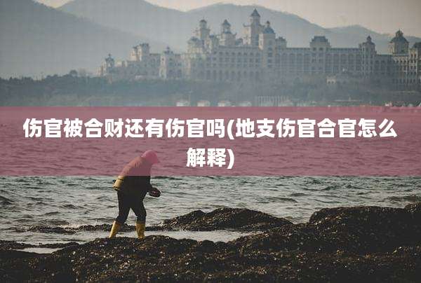 伤官被合财还有伤官吗(地支伤官合官怎么解释)