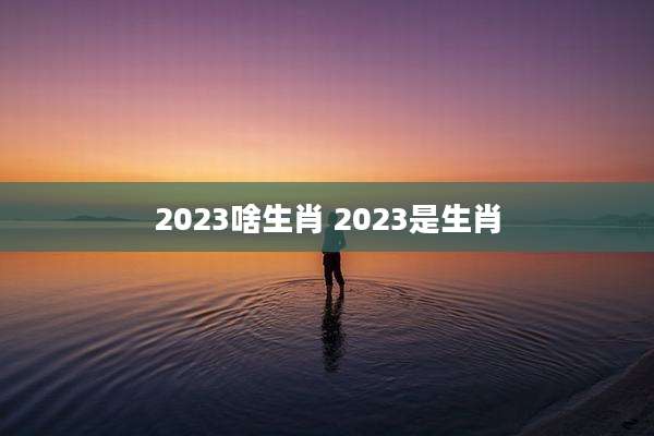 2023啥生肖 2023是生肖