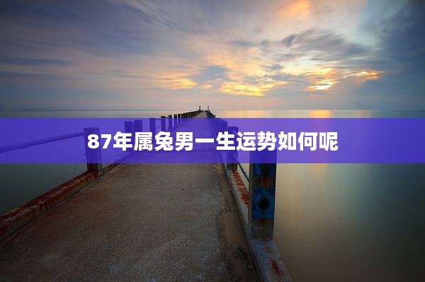 87年属兔男一生运势如何呢