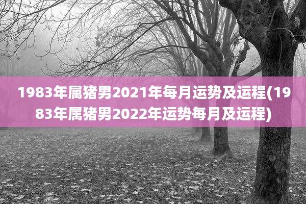 1983年属猪男2021年每月运势及运程(1983年属猪男2022年运势每月及运程)