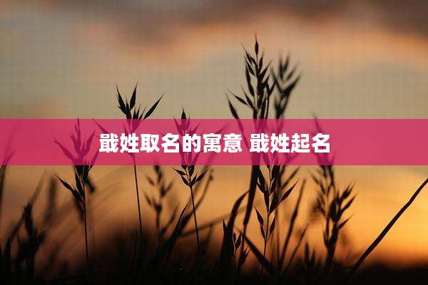 戢姓取名的寓意 戢姓起名