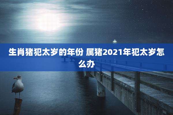 生肖猪犯太岁的年份 属猪2021年犯太岁怎么办
