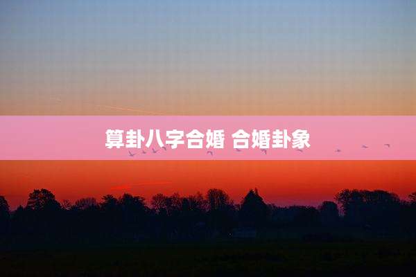 算卦八字合婚 合婚卦象
