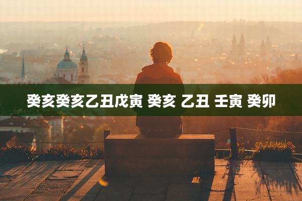 癸亥癸亥乙丑戊寅 癸亥 乙丑 壬寅 癸卯