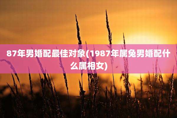 87年男婚配最佳对象(1987年属兔男婚配什么属相女)