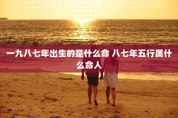 一九八七年出生的是什么命 八七年五行属什么命人