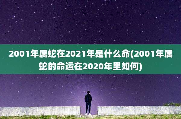 2001年属蛇在2021年是什么命(2001年属蛇的命运在2020年里如何)