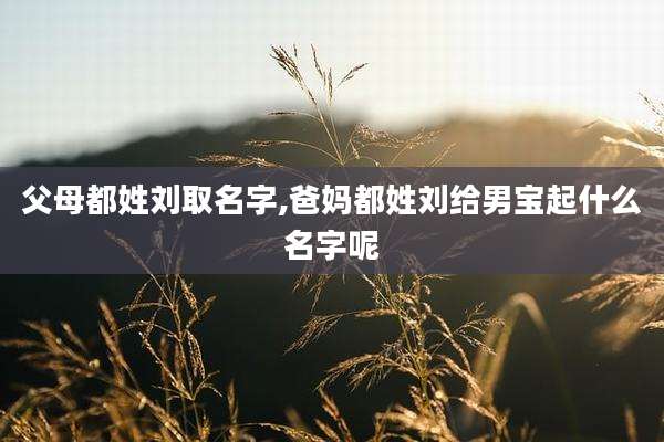父母都姓刘取名字,爸妈都姓刘给男宝起什么名字呢