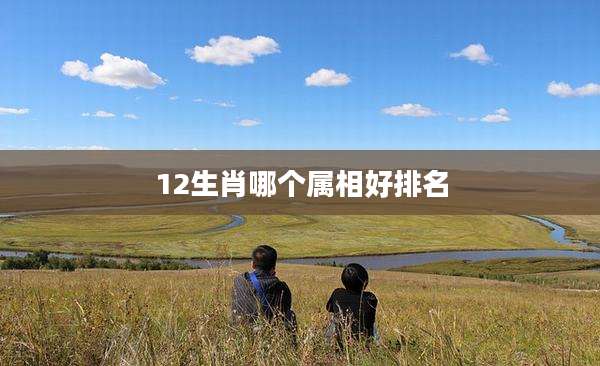 12生肖哪个属相好排名