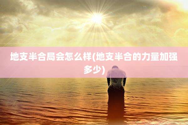 地支半合局会怎么样(地支半合的力量加强多少)