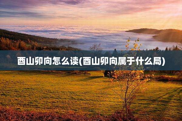 酉山卯向怎么读(酉山卯向属于什么局)