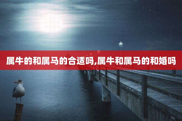 属牛的和属马的合适吗,属牛和属马的和婚吗