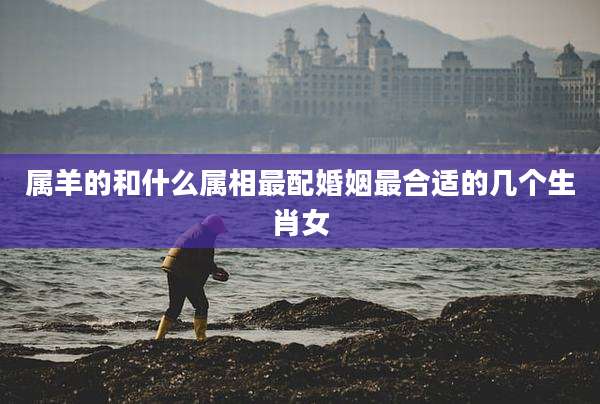 属羊的和什么属相最配婚姻最合适的几个生肖女