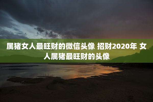 属猪女人最旺财的微信头像 招财2020年 女人属猪最旺财的头像