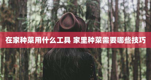 在家种菜用什么工具 家里种菜需要哪些技巧