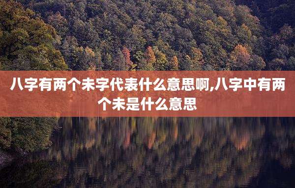 八字有两个未字代表什么意思啊,八字中有两个未是什么意思