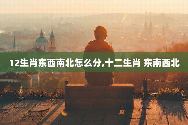 12生肖东西南北怎么分,十二生肖 东南西北