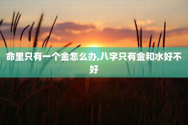 命里只有一个金怎么办,八字只有金和水好不好