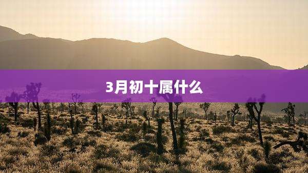 3月初十属什么