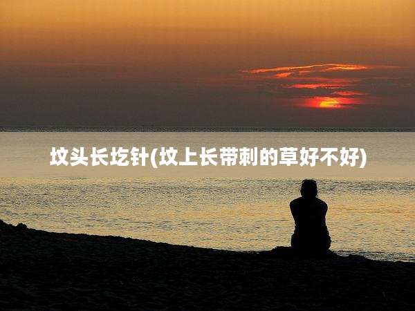 坟头长圪针(坟上长带刺的草好不好)