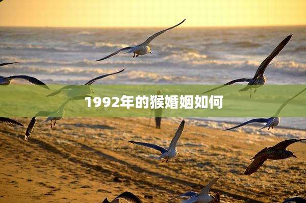 1992年的猴婚姻如何