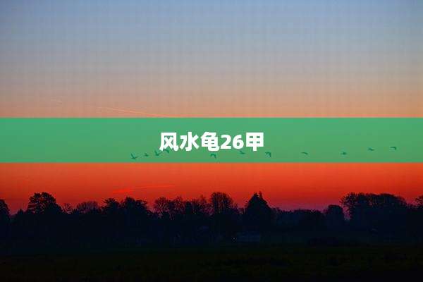 风水龟26甲