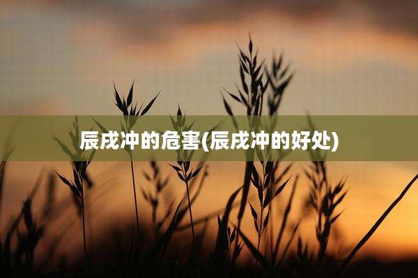 辰戌冲的危害(辰戌冲的好处)