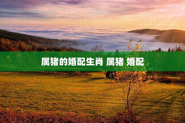 属猪的婚配生肖 属猪 婚配