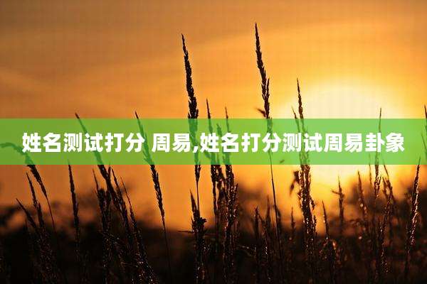 姓名测试打分 周易,姓名打分测试周易卦象