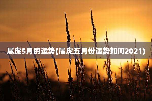 属虎5月的运势(属虎五月份运势如何2021)