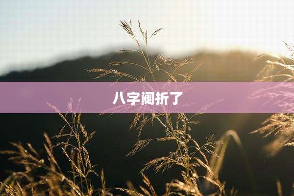 八字阀折了