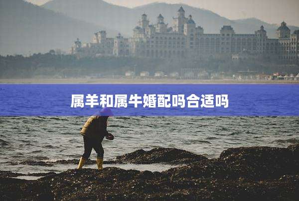 属羊和属牛婚配吗合适吗